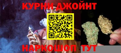 гидра Заводоуковск