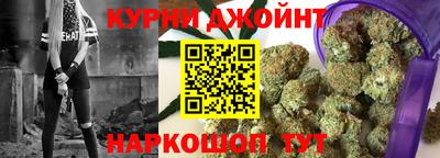гидра Заводоуковск