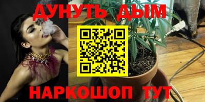 гидра Заводоуковск